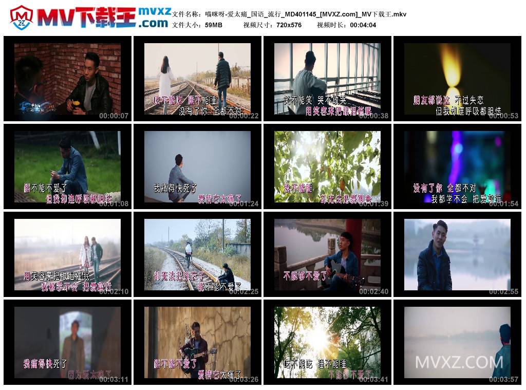 喵咪呀-爱太痛_国语_流行_MD401145